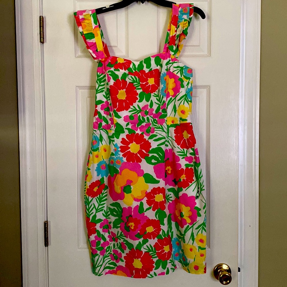 Lilly Pulitzer Ants on Parade Dress Size 10